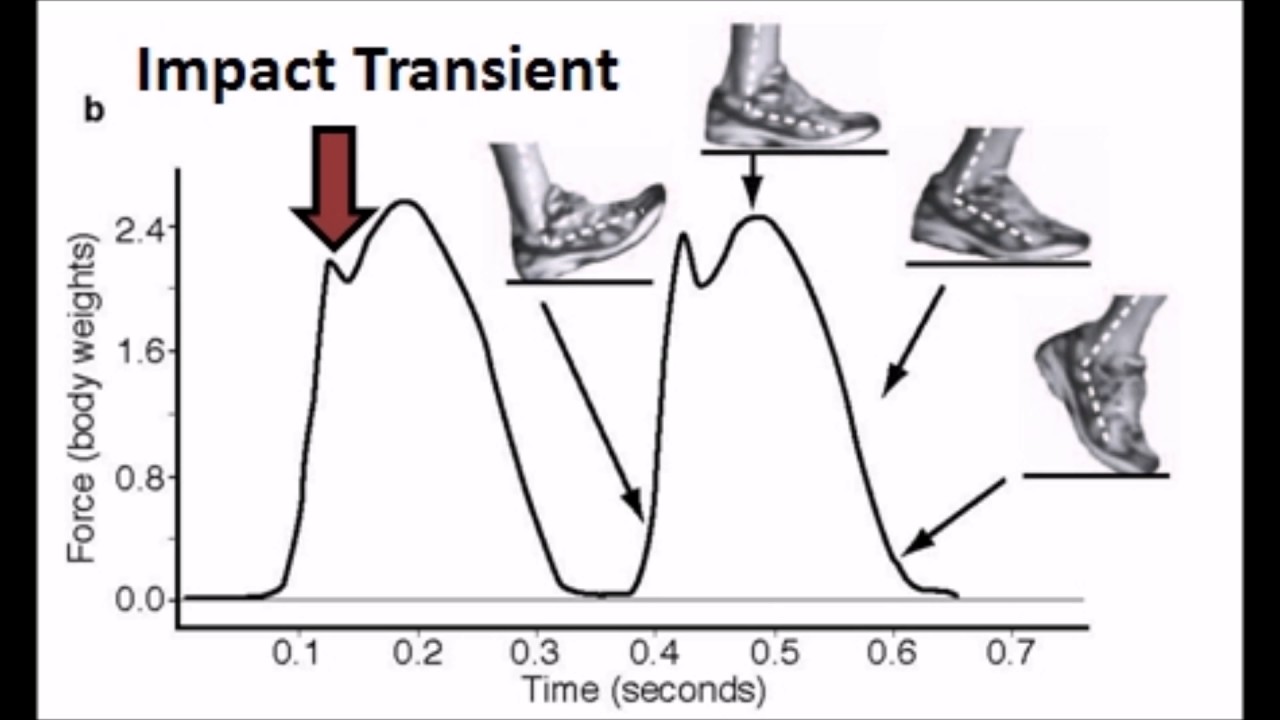 Force Plates Lab Techniques in Exercise Physiology