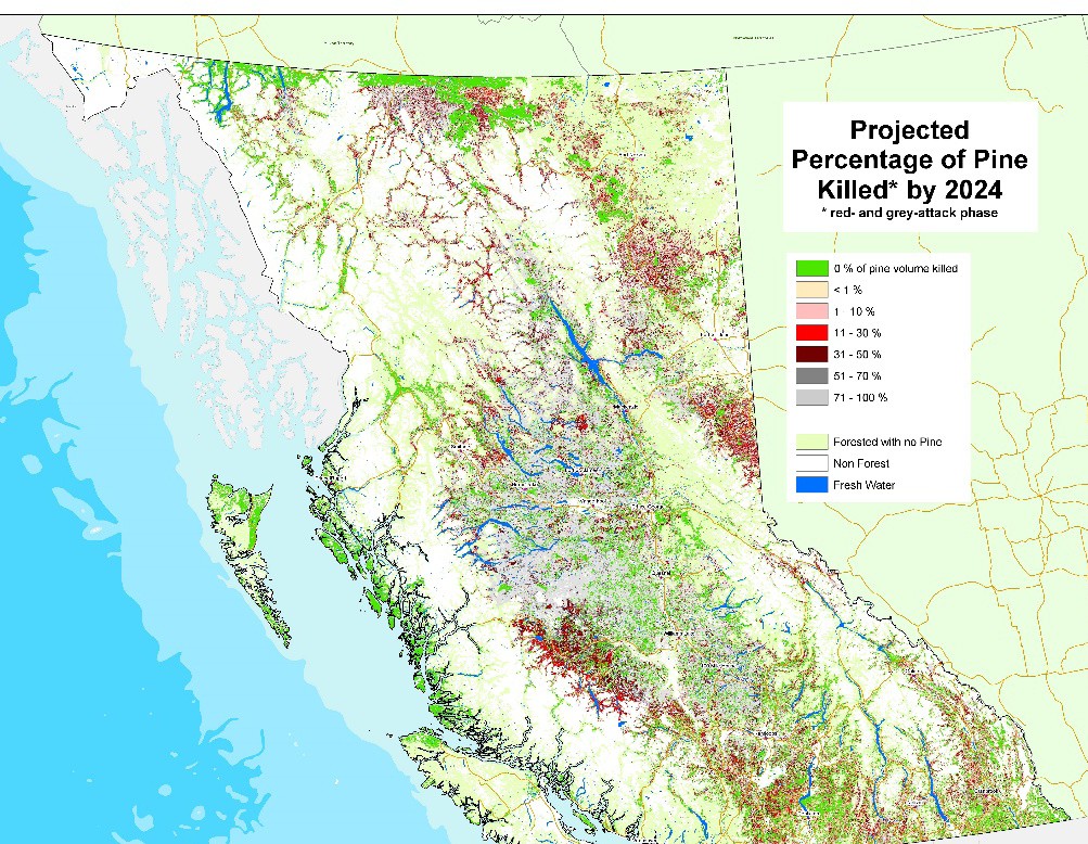 Map of BC, projected percentage of pine trees killed by the mountain pine beetle. Colour coded based on percentage, largest percentage seen in interior BC