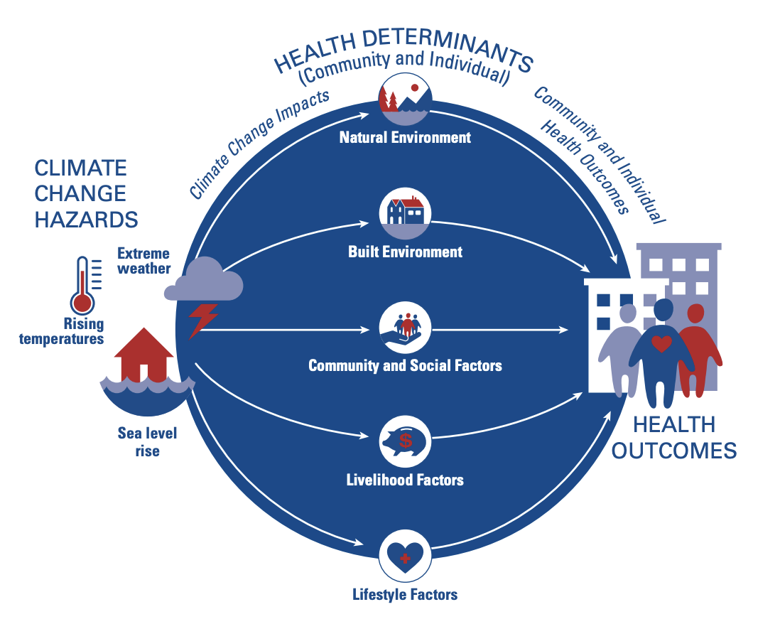 graphic showing health determinants on the community and individual level and relationship to climate change hazards. Depicting direct relationship between climate hazards and health outcomes