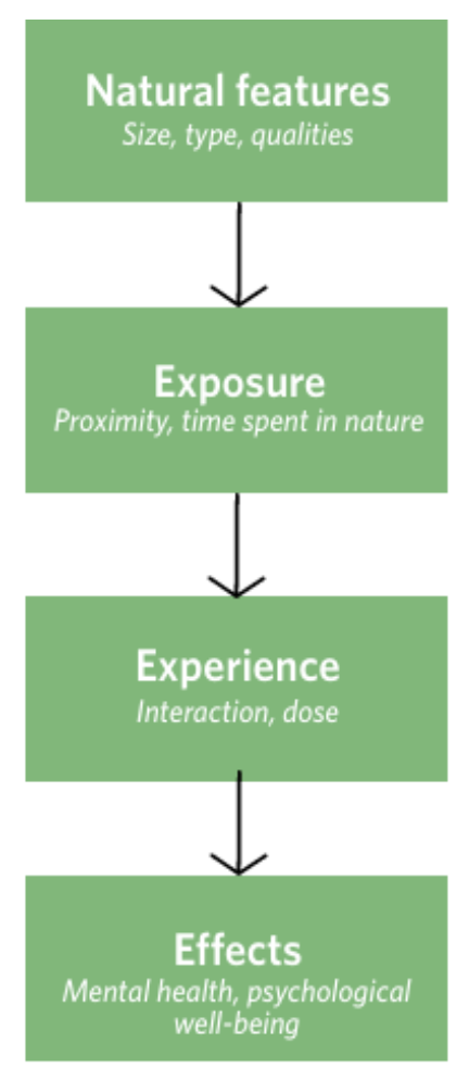 Flowchart for mental health and ecosystem exposure. Natural features to exposure to experience to effects