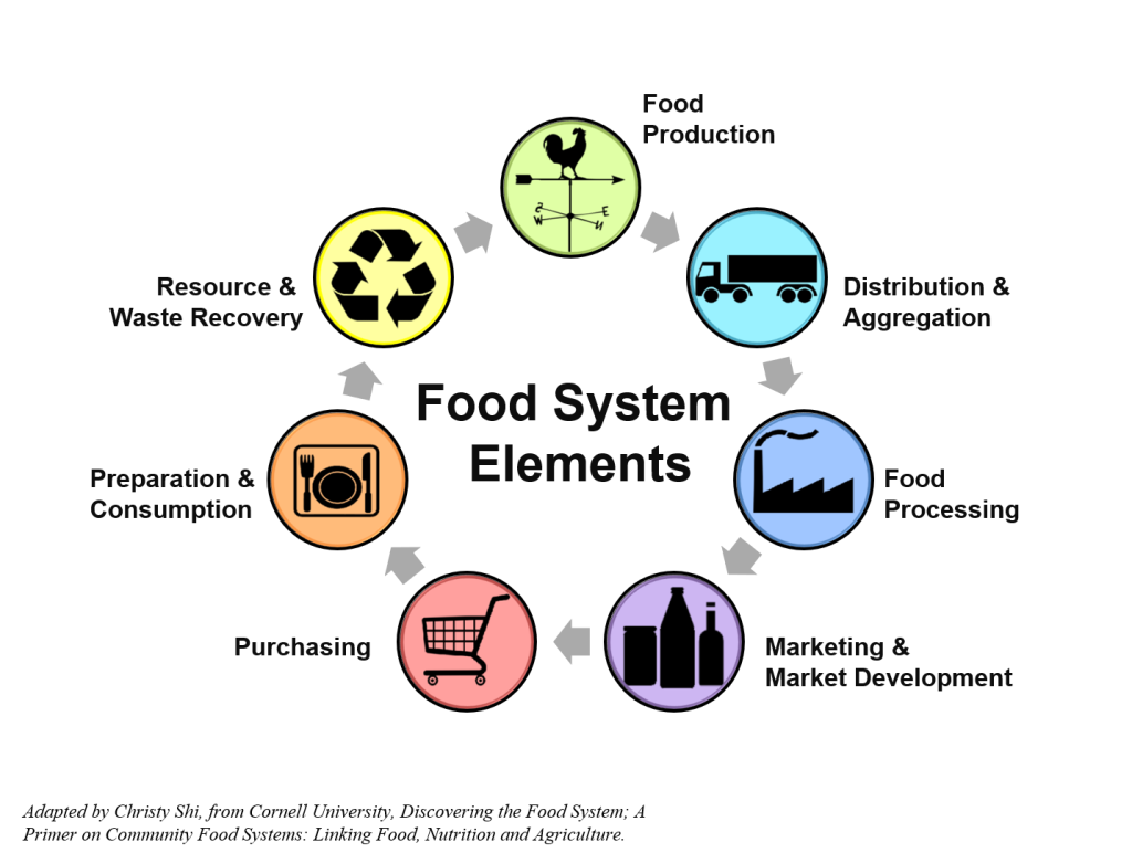Food system elements graphic - food production, distribution, processing, marketing, purchasing, preparation and consumption, resource and waste recovery