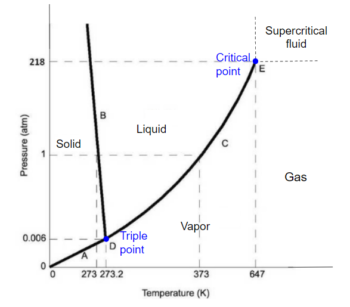 Phase Diagram – Foundations Of Chemical And Biological Engineering I