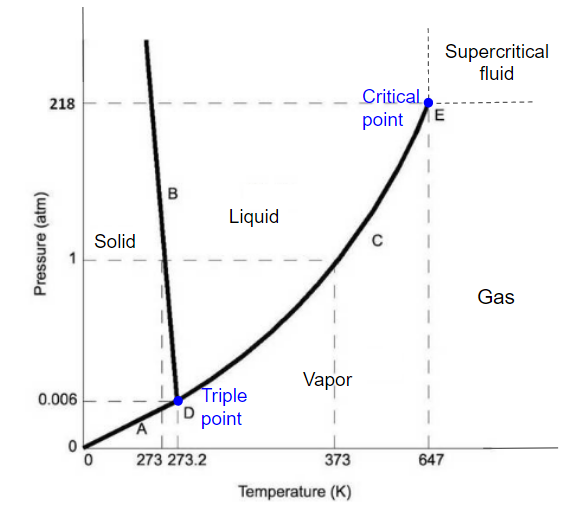 Phase Diagram – Foundations of Chemical and Biological Engineering I