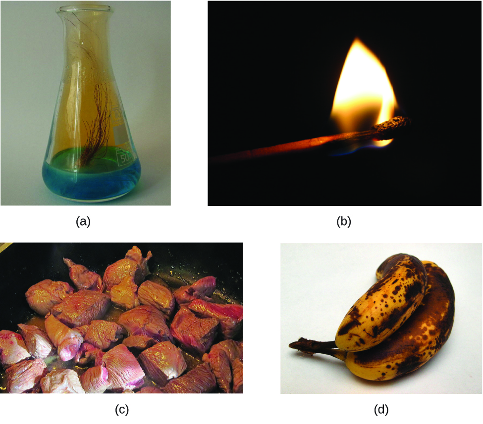 chemical changes in daily life