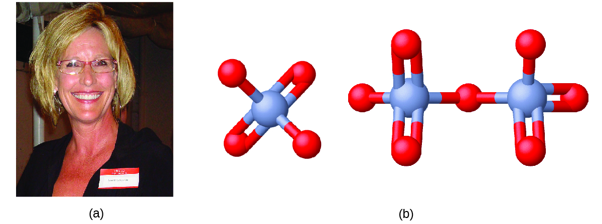 Figure A shows a photo of Erin Brockovich. Figure B shows a 3-D ball-and-stick model of chromate. Chromate has a chromium atom at its center that forms bonds with four oxygen atoms each. Two of the oxygen atoms form single bonds with the chromium atom while the other two form double bonds each. The structure of dichromate consists of two chromate ions that are bonded and share one of their oxygen atoms to which each chromate atom has a single bond.