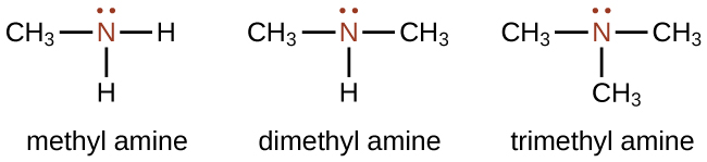 amine structure