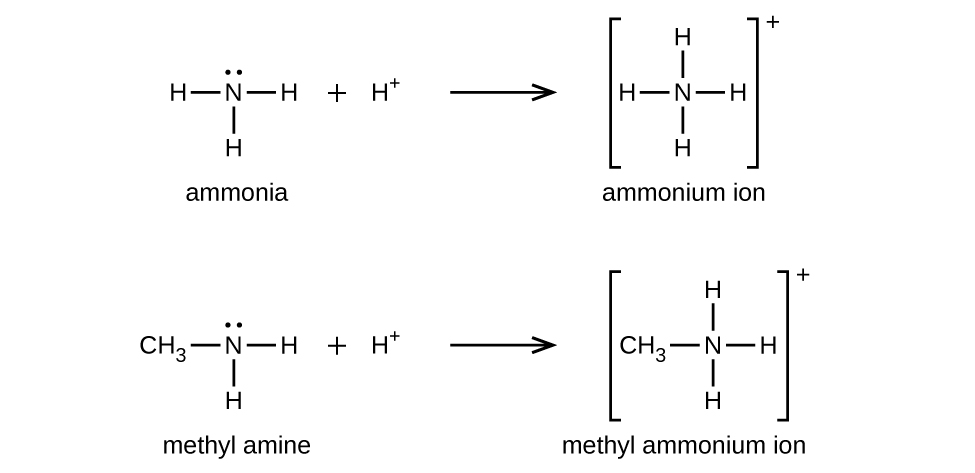 amine structure