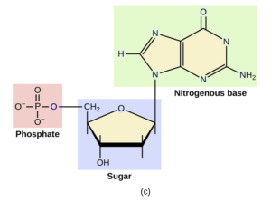 10.2 Functional Groups – CHEM 1114 – Introduction to Chemistry