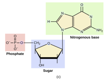 10.2 Functional Groups – CHEM 1114 – Introduction to Chemistry