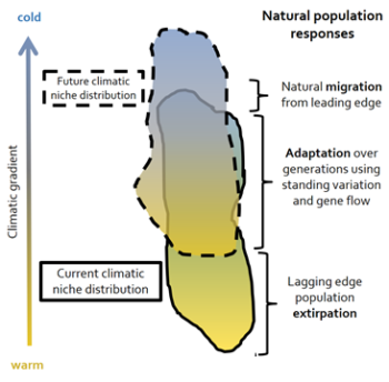 Topic 5.1. Model Interpretation And Applications – Climatic ...