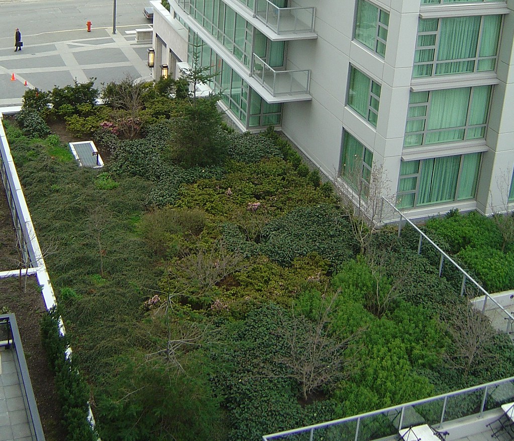 a roof in downtown victoria covered in greenery, plants and trees