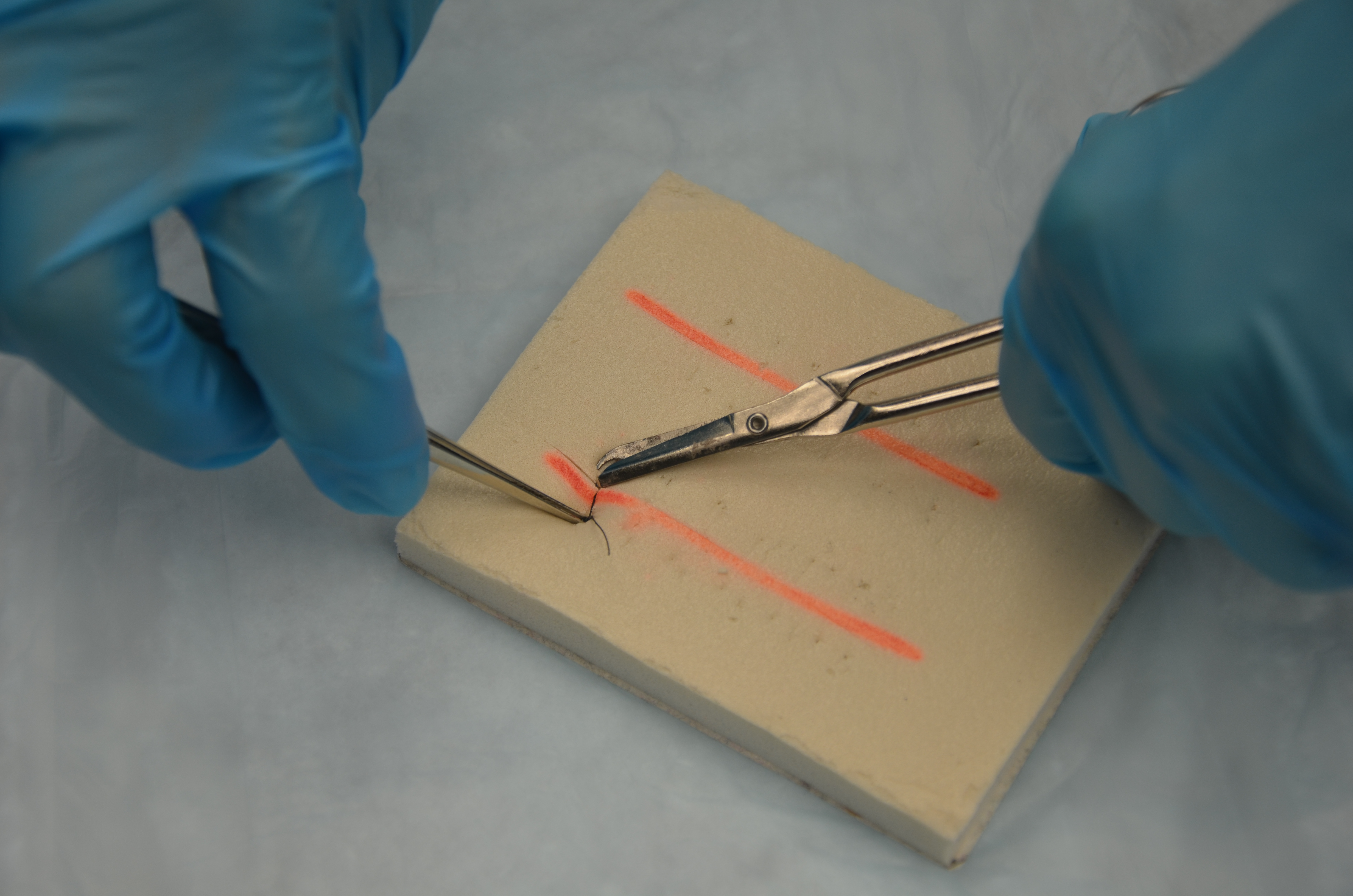 4.7 Suture Removal Clinical Procedures for Safer Patient Care