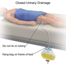 2.10 Head-to-Toe Assessment: Genitourinary Assessment – Clinical ...