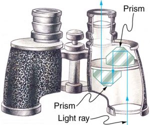 The picture shows binoculars with prisms inside. The light through one of the object lenses enters through the first prism and suffers total internal reflection and then falls on the second prism and gets total internally reflected and emerges out through one of the eyepiece lenses.