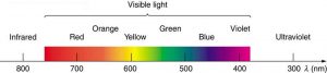 A continuous distribution of colors with their range of wavelength lambda in nanometers, starting with infrared at 800 nanometers. Following infrared is the visible region with red at 700 nanometers, orange, yellow at 600 nanometers, green, blue at 500 nanometers, and violet at 400 nanometers. The distribution ends with ultraviolet at 300 nanometers.