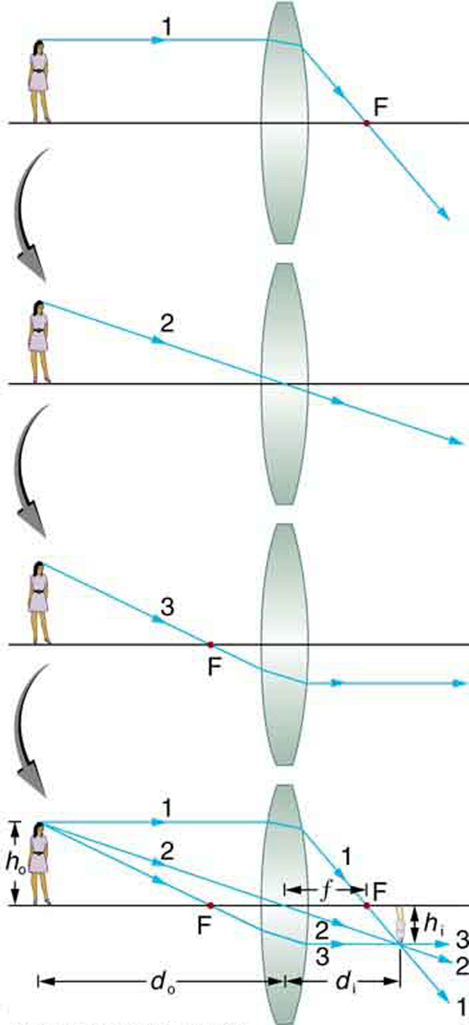 Bewijzen Rekwisieten Beperkingen 25.6 Image Formation by Lenses – College Physics