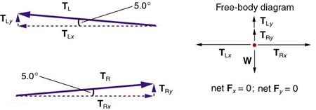 A vector T sub L making an angle of five degrees with the negative x axis is shown. It has two components, one in the vertical direction, T sub L y, and another horizontal, T sub L x. Another vector is shown making an angle of five degrees with the positive x axis, having two components, one along the y direction, T sub R y, and the other along the x direction, T sub R x. In the free-body diagram, vertical component T sub L y is shown by a vector arrow in the upward direction, T sub R y is shown by a vector arrow in the upward direction, and weight W is shown by a vector arrow in the downward direction. The net force F sub y is equal to zero. In the horizontal direction, T sub R x is shown by a vector arrow pointing toward the right and T sub L x is shown by a vector arrow pointing toward the left, both having the same length so that the net force in the horizontal direction, F sub x, is equal to zero.