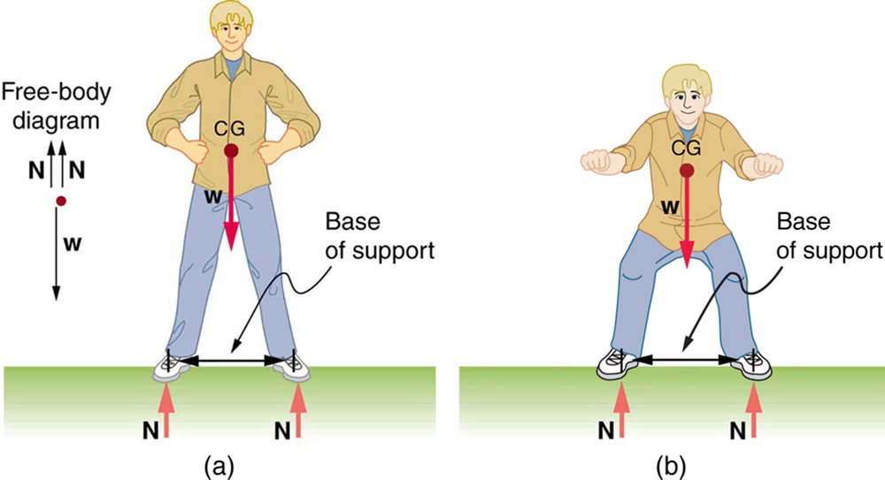 Part a of the figure shows a man standing on the ground. The feet are a shoulder-width apart from each other. The weight W of the man is acting at the center of gravity of the body of the man. Two normal reactions N each are shown acting on the feet of the man. The distance between the feet of the man is marked as the base of support. A free body diagram is also shown on the left side of the figure. Part b of the figure shows a man standing upright with his knees bent. The feet are a distance apart from each other. The weight W of the man is acting at the center of gravity of the body of the man. Two normal reactions N each are shown acting on the feet of the man. The distance between the feet of the man is marked as the base of support.