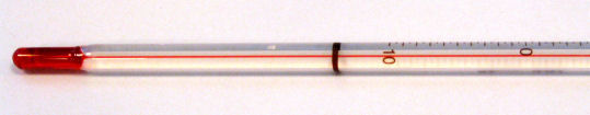 Image of the lower end of a glass thermometer containing alcohol and a red dye.