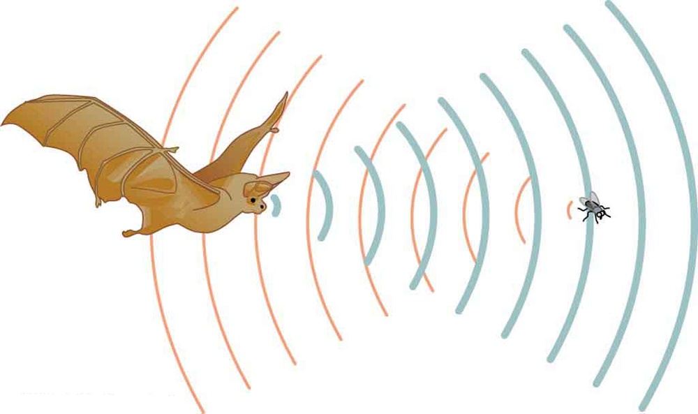 complete-the-following-chart-with-the-speed-wavelength-or-frequency