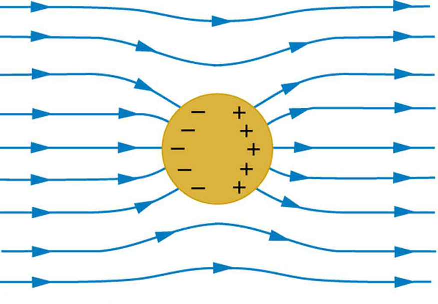 2-11-conductors-and-electric-fields-in-static-equilibrium-douglas