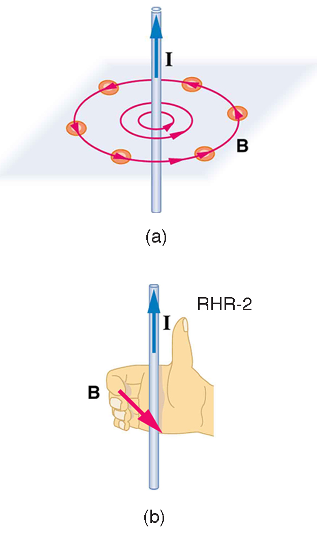 religion brugt Fleksibel 7.0 Magnetic Fields Produced by Currents: Ampere's Law – Douglas College  Physics 1207