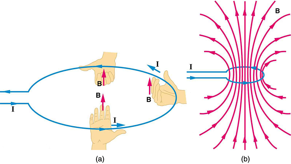 Figure a illustrates use of the right hand rule 2 to determine the direction of the magnetic field around a current-carrying loop. The right hand thumb points in the direction of I while the fingers curl around in the direction of B. Figure b shows the magnetic field lines circling the wire, as viewed from the side.