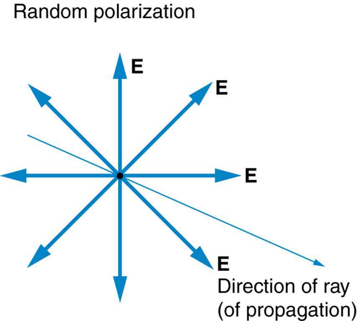 The figure shows a slender arrow pointing out of the page and to the right; it is labeled direction of ray (of propagation). At a point on this ray, eight bold arrows point in different directions, perpendicularly away from the ray. These arrows are labeled E.