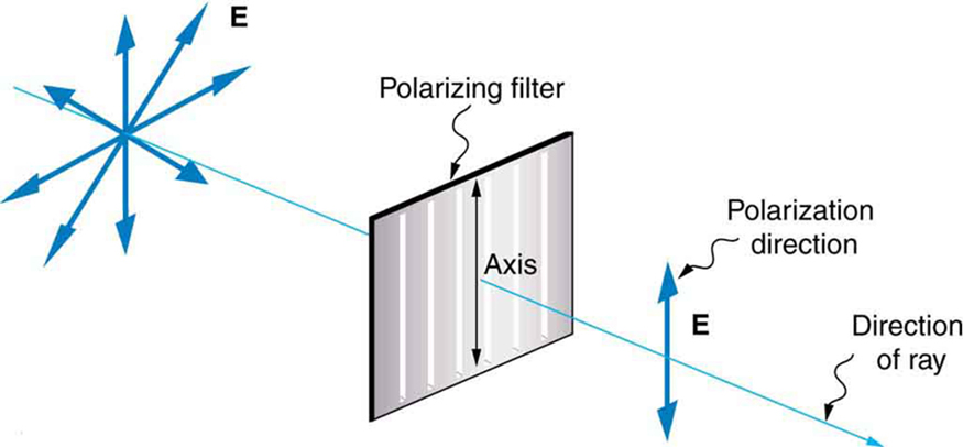 Polarized Light Examples