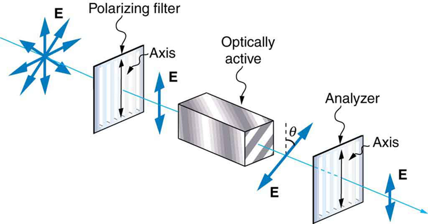 27-8-polarization-college-physics