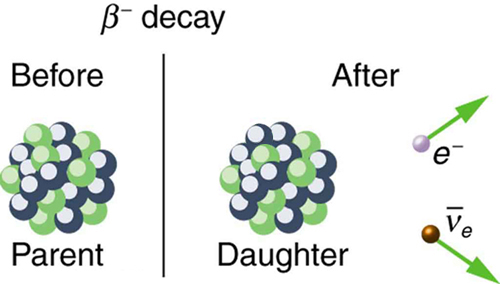 Image shows parent nucleus before beta decay and daughter nucleus after beta decay.