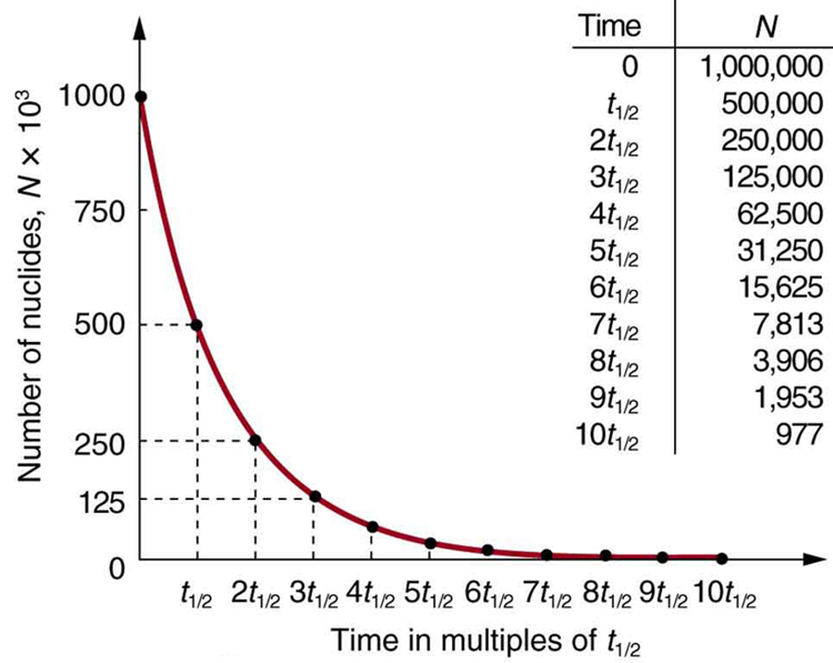 31-5-half-life-and-activity-college-physics