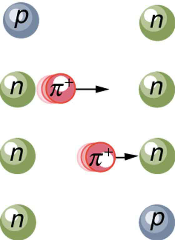 The image shows the creation a pion from a proton and its exchange to a neutron. After the exchange, the proton has become a neutron and the neutron has become a proton.
