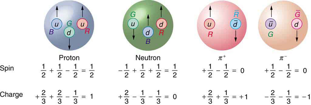 The figure shows four spheres that are labeled proton, neutron, positive pion, and negative pion. The proton sphere contains a blue up quark with spin up, a green down quark with spin down, and a red up quark with spin up. Below the figure are two equations. The upper equation is labeled spin and reads one half plus one half minus one half equals one half, and the lower equation is labeled charge and reads plus two thirds plus two thirds minus one third equals one. The neutron sphere contains a green up quark with spin down, a blue down quark with spin up, and a red down quark with spin up. The corresponding spin equation reads minus one half plus one half plus one half equals one half, and the charge equation reads plus two thirds minus one third minus one third equals zero. The positive pion sphere contains a red up quark with spin up and an anti red anti down quark with spin down. The corresponding spin equation reads plus one half minus one half equals zero, and the charge equation reads plus two thirds plus one third equals plus one. The negative pion sphere contains a green anti up quark with spin up and an anti green down quark with spin down. The corresponding spin equation reads plus one half minus one half equals zero, and the charge equation reads minus two thirds minus one third equals minus one.