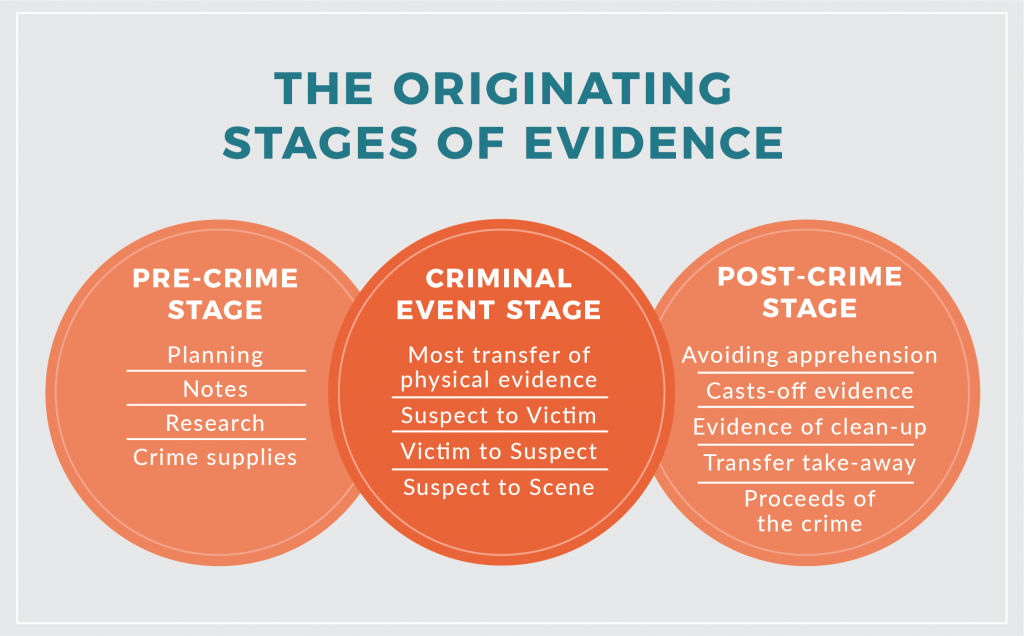 stages of crime - stages of crime pdf