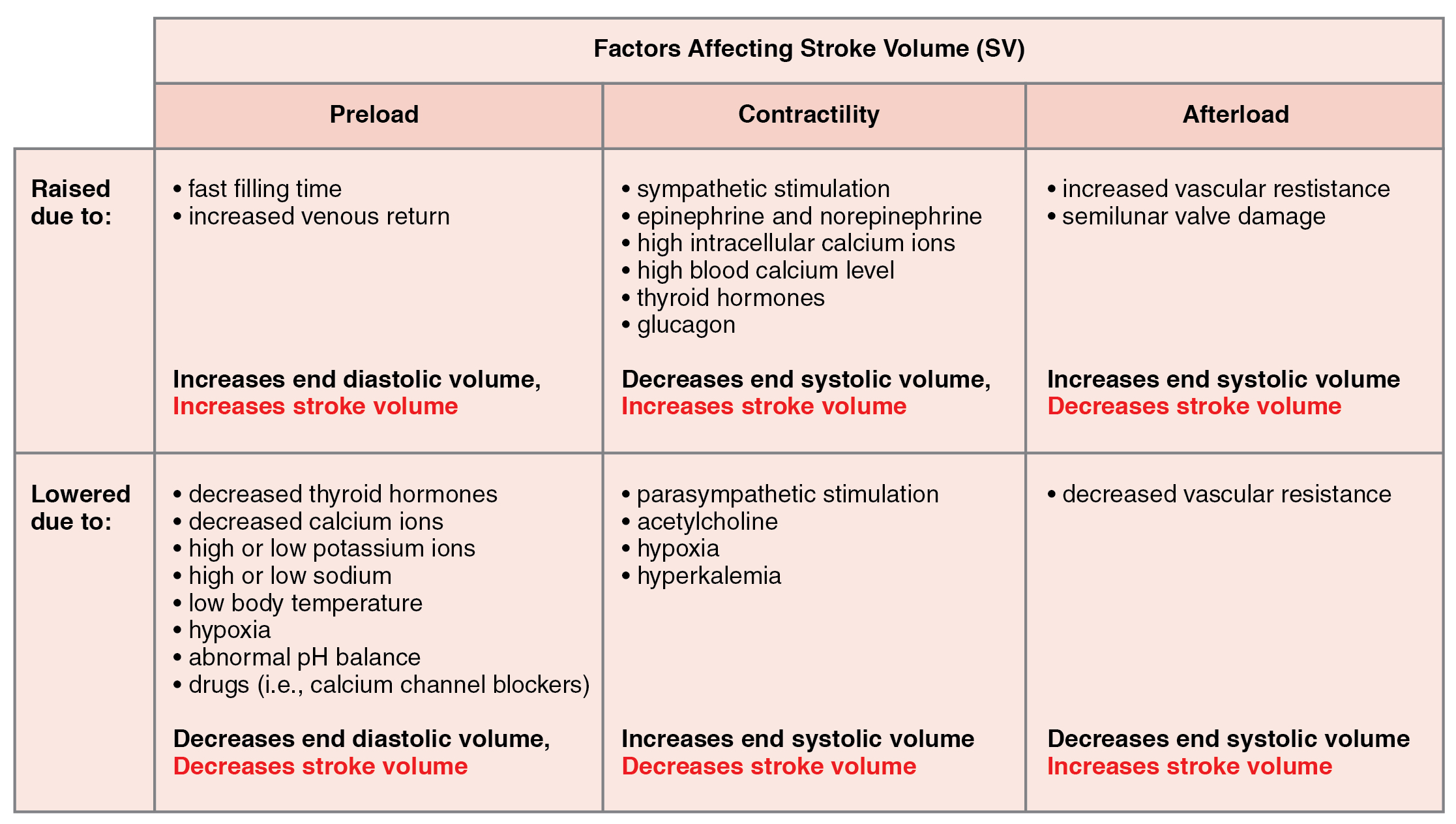This table describes major factors influencing stroke volume. Preload may be raised due to fast filling time or increased venous return. These factors increase end diastolic volume and increase stroke volume. Preload may be lowered due to decreased thyroid hormones, decreased calcium ions, high or low potassium ions, high or low sodium, low body temperature, hypoxia, abnormal pH balance, or drugs (for example, calcium channel blockers). These factors decrease end diastolic volume and decrease stroke volume. Contractility may be raised due to sympathetic stimulation, epinephrine and norepinephrine, high intracellular calcium ions, high blood calcium level, thyroid hormones, or glucagon. These factors decrease end systolic volume and increase stroke volume. Contractility may be lowered due to parasympathetic stimulation, acetylcholine, hypoxia, or hyperkalemia. These factors increase end systolic volume and decrease stroke volume. Afterload may be raised due to increased vascular resistance or semilunar valve damage. These factors increase end systolic volume and decrease stroke volume. Afterload may be lowered due to decreased vascular resistance. This factor decreases end systolic volume and increases stroke volume.