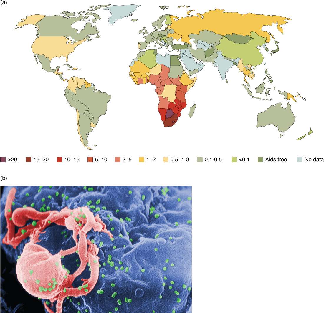 The top panel shows a color-coded world map. The bottom panel shows many viruses on a cell.