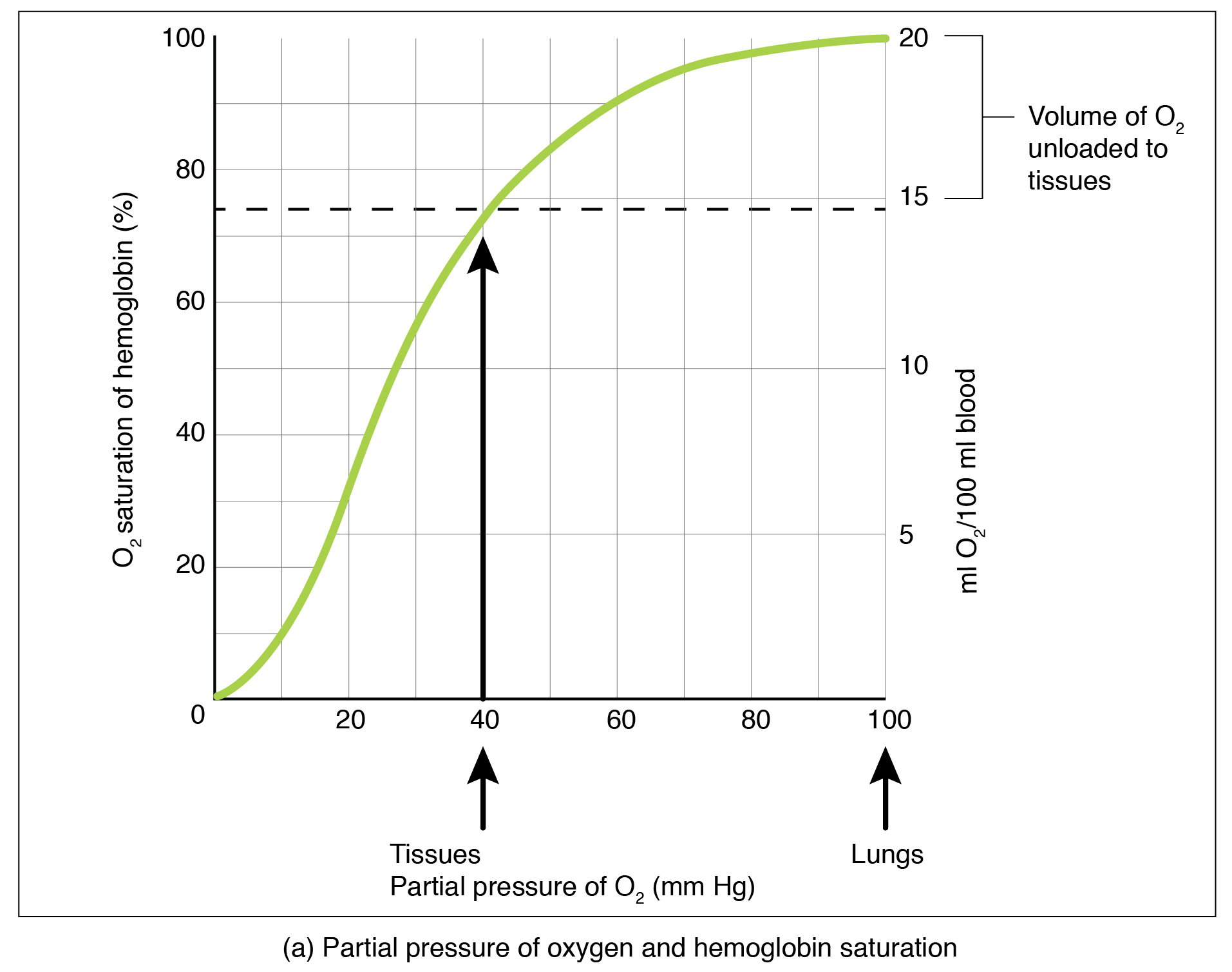 The top panel of this figure shows a graph with oxygen saturation of the y-axis and partial pressure of oxygen on the x-axis.