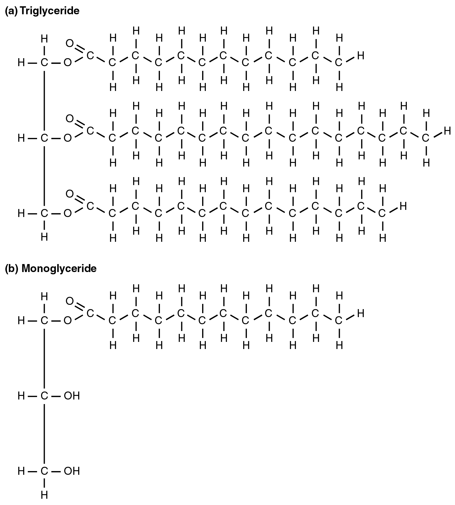 The top image shows the chemical formula for a triglyceride, and the bottom panel shows the formula for a monoglyceride.