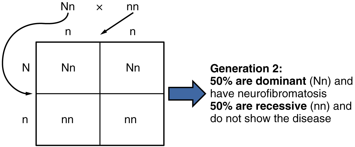 Dominant And Recessive Chart