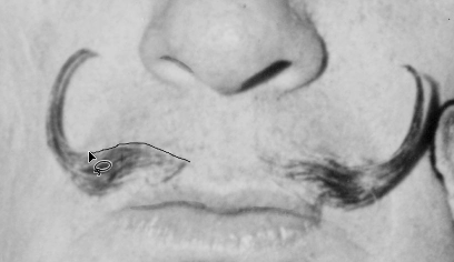 Screen capture showing lasso tool being used to select part of Dali's mustache.