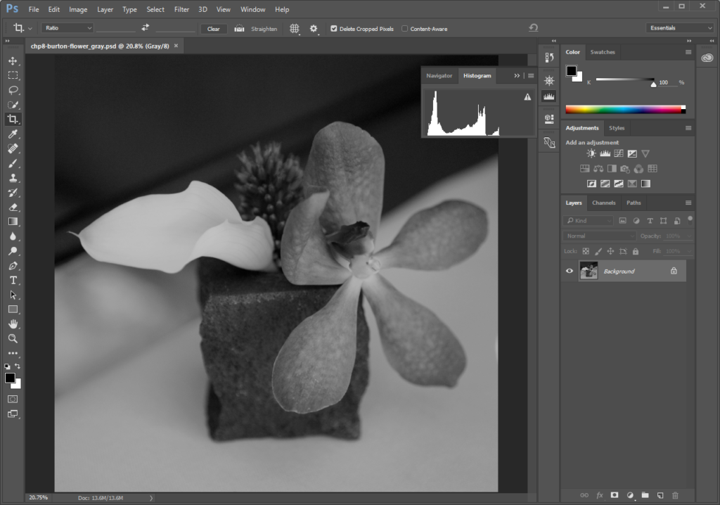 Screencapture of greyscale flower photo open in Adobe® Photoshop® with the Histogram panel displayed.