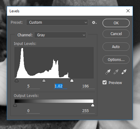 Screencapture of the Photoshop® Levels Adjustment dialog box, consisting of a histogram and slider controls to adjust input/output levels.