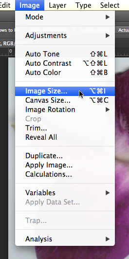 View of the Photoshop® Image menu, with Image Size option highlighted.