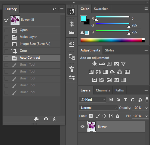 Screencapture showing Adobe® Photoshop® History panel