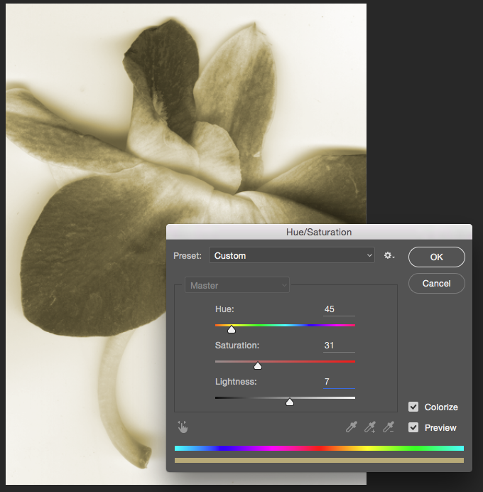 Screencapture showing the Hue/Saturation adjustment dialog box over a colorized image of a flower.