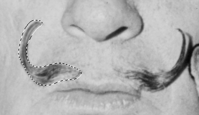 Completed selection around Dali's mustache.