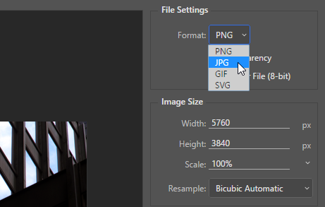 Screen capture showing how to set the Format for the optimized image.