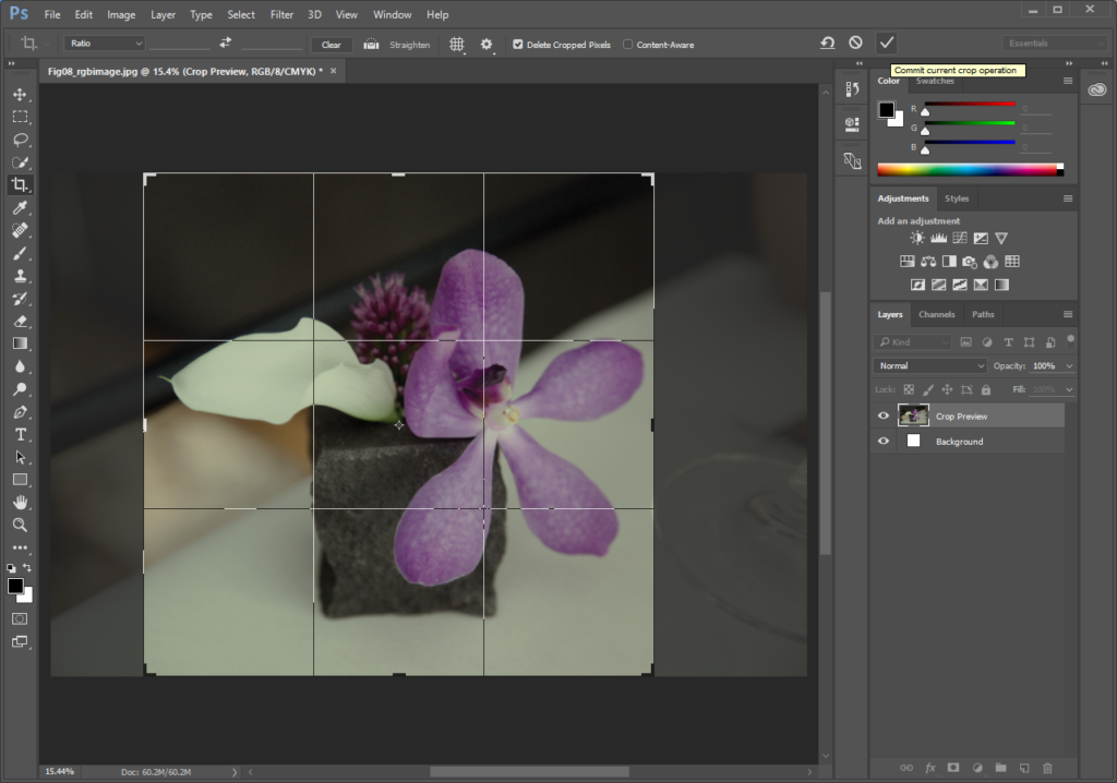 Screencapture showing photo of a purple flower opened in Photoshop®. The Crop Area is active around a portion of the image.