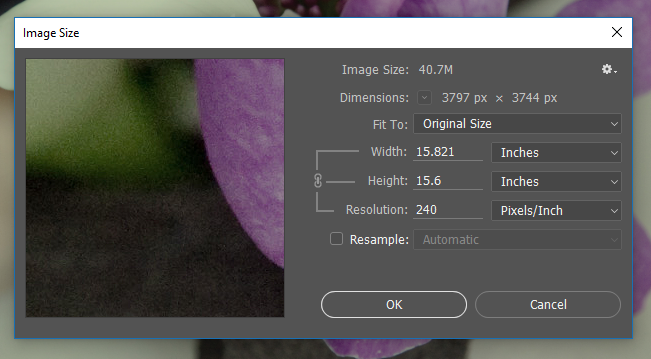 Screen capture showing the Photoshop® Image Size dialog box with image resolution set at 240 pixels/inch.